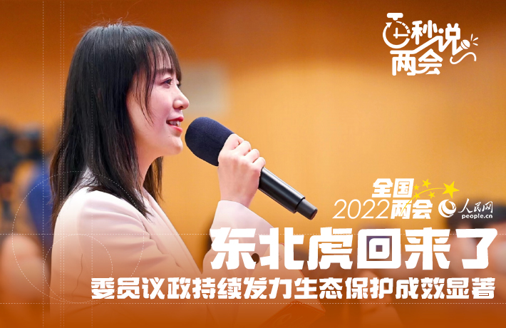 视频封面图